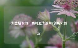 大金融发力，赢时胜大涨10%创历史新高