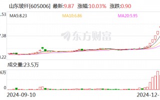 6连板山东玻纤：公司股票可能存在短期内大幅下跌的风险