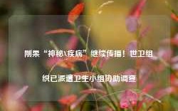 刚果“神秘X疾病”继续传播！世卫组织已派遣卫生小组协助调查