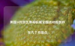 美国10月份芝加哥联储全国活动指数跌至九个月低点