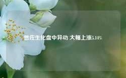 恩佐生化盘中异动 大幅上涨5.14%