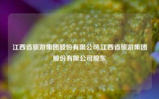 江西省旅游集团股份有限公司,江西省旅游集团股份有限公司股东