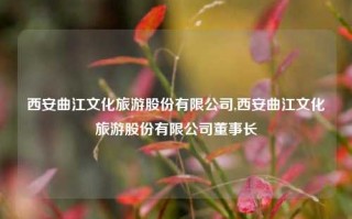 西安曲江文化旅游股份有限公司,西安曲江文化旅游股份有限公司董事长