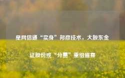 星网信通“卖身”邦彦技术，大股东金证股份或“分羹”重组盛宴