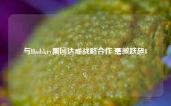 与Hashkey集团达成战略合作 毫微跌超8%