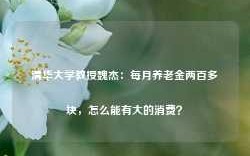 清华大学教授魏杰：每月养老金两百多块，怎么能有大的消费？