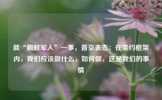 就“朝鲜军人”一事，普京表态：在条约框架内，我们应该做什么，如何做，这是我们的事情