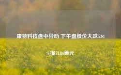 康特科技盘中异动 下午盘股价大跌5.04%报71.86美元