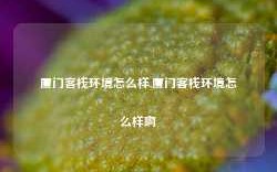 厦门客栈环境怎么样,厦门客栈环境怎么样啊