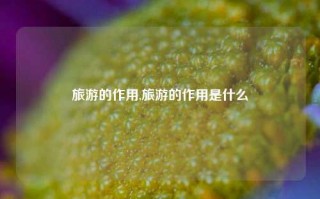 旅游的作用,旅游的作用是什么