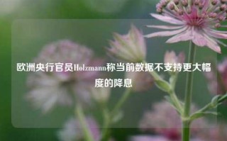 欧洲央行官员Holzmann称当前数据不支持更大幅度的降息