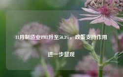 11月制造业PMI升至50.3%，政策支持作用进一步显现