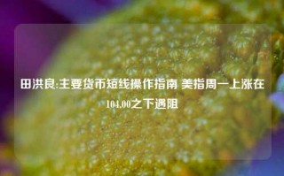 田洪良:主要货币短线操作指南 美指周一上涨在104.00之下遇阻