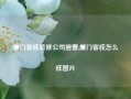 厦门客栈装修公司避雷,厦门客栈怎么样图片