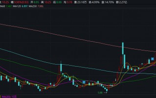 江西卤味一哥进军休闲零食赛道 展翠食品欲借道煌上煌“曲线上市”