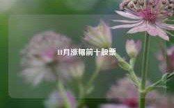 11月涨幅前十股票