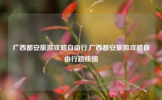 广西都安旅游攻略自由行,广西都安旅游攻略自由行路线图