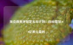 埃克森美孚制定五年计划：目标增加200亿美元盈利