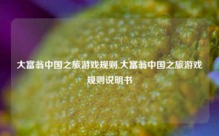 大富翁中国之旅游戏规则,大富翁中国之旅游戏规则说明书