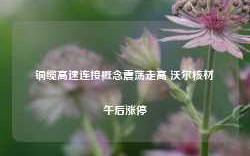 铜缆高速连接概念震荡走高 沃尔核材午后涨停