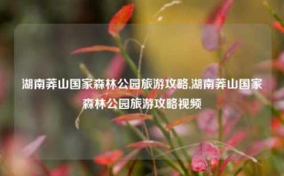 湖南莽山国家森林公园旅游攻略,湖南莽山国家森林公园旅游攻略视频