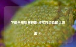 下调全年销售预期 柯尔百货盘前大跌逾19%