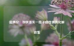 蓝佛安：加快落实一揽子隐性债务化解政策