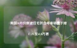 美国10月份新建住宅折合年率销量下降17.3%至61.0万套