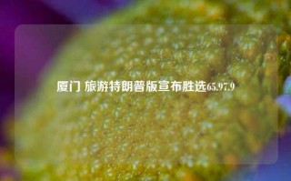 厦门 旅游特朗普版宣布胜选65.97.9