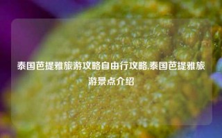 泰国芭提雅旅游攻略自由行攻略,泰国芭提雅旅游景点介绍