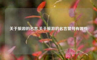 关于旅游的名言,关于旅游的名言警句有哪些