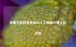 加拿大政府宣布启动人工智能计算主权战略