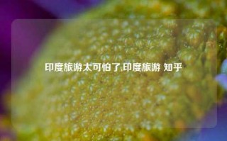 印度旅游太可怕了,印度旅游 知乎