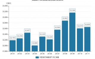 11月末我国外汇储备规模上升48亿美元 4月以来央行首次增持黄金