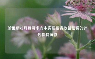 哈里斯对拜登寻求向未实现投资收益征税的计划保持沉默