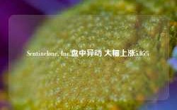 Sentinelone, Inc.盘中异动 大幅上涨5.05%