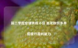 前三季度业绩表现不佳 圣龙股份多举措提升盈利能力