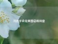 习近平会见美国总统拜登