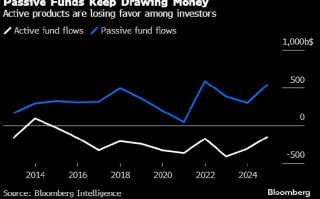 指数基金2024年吸金5,000亿美元 重燃华尔街对被动投资的争论