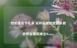 担心落后于礼来 诺和诺德印度团队据悉敦促提前推出Wegovy