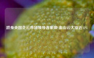 跻身央国企云市场领导者象限 金山云大涨近12%