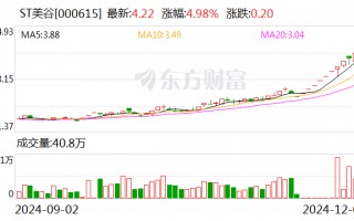 ST美谷：法院决定对公司启动预重整