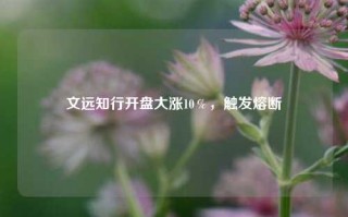 文远知行开盘大涨10％，触发熔断