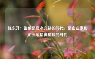 陈东升：当前是资本充裕的时代，是企业家和企业家精神稀缺的时代