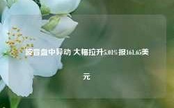 波音盘中异动 大幅拉升5.01%报161.65美元