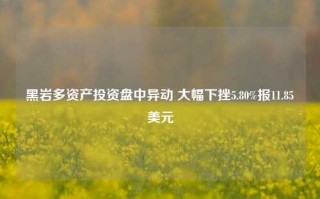 黑岩多资产投资盘中异动 大幅下挫5.80%报11.85美元