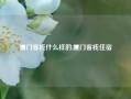 厦门客栈什么样的,厦门客栈住宿