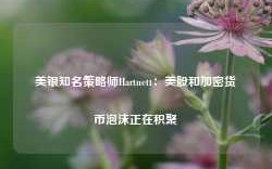 美银知名策略师Hartnett：美股和加密货币泡沫正在积聚