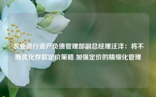 农业银行资产负债管理部副总经理汪洋：将不断优化存款定价策略 加强定价的精细化管理