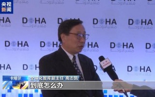 专家：叙利亚局势突变给中东地区带来更多不稳定性